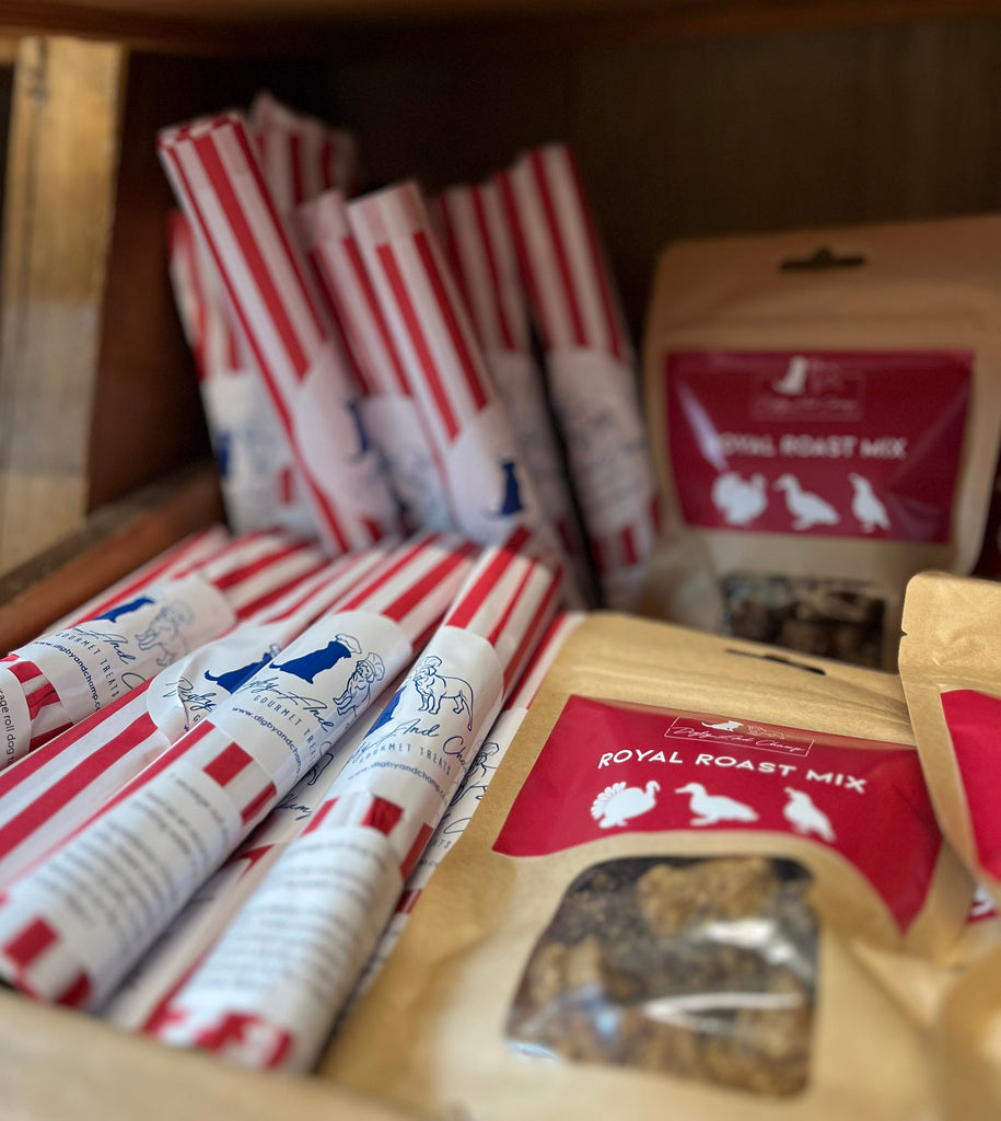 'Treat' your Dog this Christmas 🎄