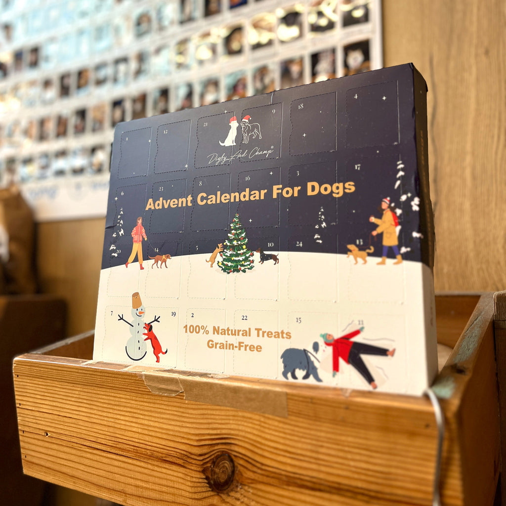 Advent calendar for dogs on a wooden surface with a blurred background